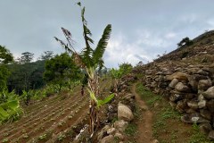 MalawiZambie_0183_web