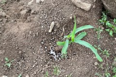 MalawiZambie_0184_web