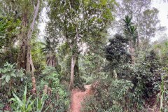 MalawiZambie_0185_web