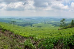 MalawiZambie_0187_web