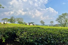MalawiZambie_0188_web