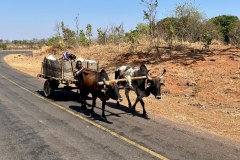 MalawiZambie_0200_web