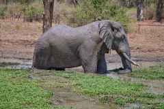 MalawiZambie_0203_web