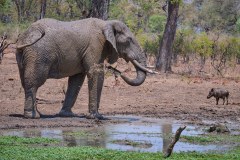 MalawiZambie_0204_web