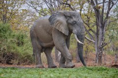MalawiZambie_0205_web