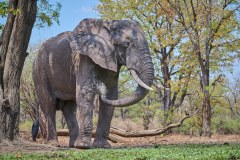 MalawiZambie_0206_web