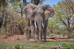 MalawiZambie_0207_web