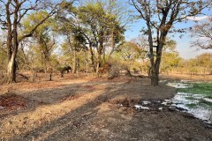 MalawiZambie_0212_web
