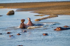 MalawiZambie_0213_web