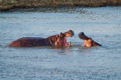MalawiZambie_0214_web