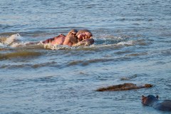 MalawiZambie_0215_web