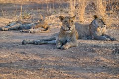 MalawiZambie_0219_web