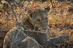 MalawiZambie_0220_web