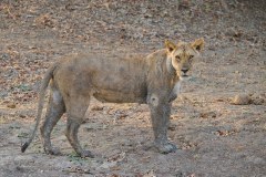 MalawiZambie_0222_web