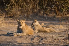 MalawiZambie_0223_web