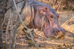 MalawiZambie_0224_web