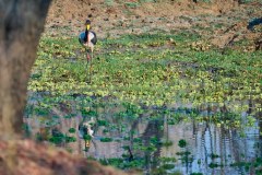 MalawiZambie_0226_web