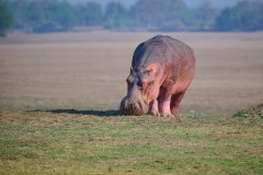 MalawiZambie_0227_web