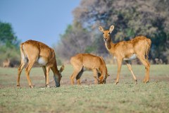 MalawiZambie_0229_web