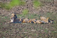 MalawiZambie_0230_web