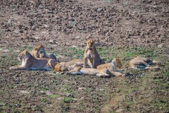MalawiZambie_0231_web