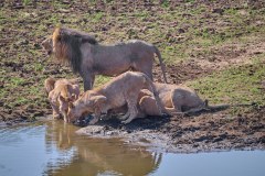 MalawiZambie_0233_web