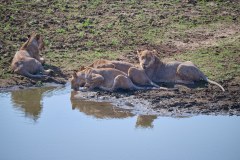 MalawiZambie_0234_web