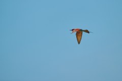 MalawiZambie_0235_web