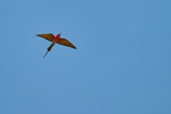 MalawiZambie_0236_web