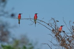MalawiZambie_0237_web