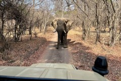 MalawiZambie_0238_web