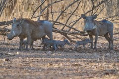 MalawiZambie_0240_web
