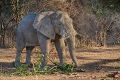 MalawiZambie_0242_web