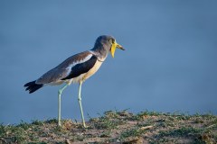 MalawiZambie_0243_web