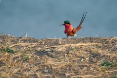 MalawiZambie_0244_web
