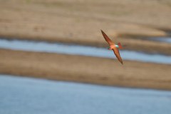 MalawiZambie_0245_web