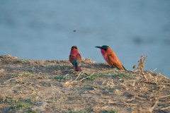 MalawiZambie_0246_web