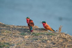 MalawiZambie_0247_web