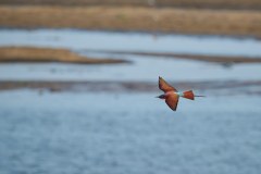 MalawiZambie_0248_web