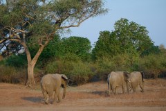 MalawiZambie_0249_web