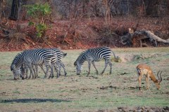 MalawiZambie_0250_web