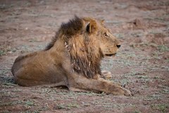 MalawiZambie_0251_web