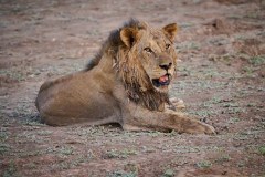 MalawiZambie_0252_web