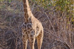 MalawiZambie_0257_web