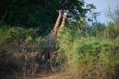 MalawiZambie_0258_web