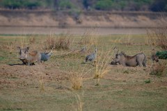MalawiZambie_0259_web