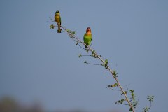 MalawiZambie_0260_web