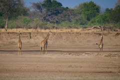 MalawiZambie_0261_web