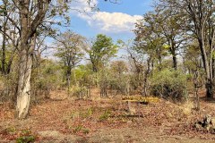 MalawiZambie_0265_web