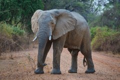 MalawiZambie_0267_web